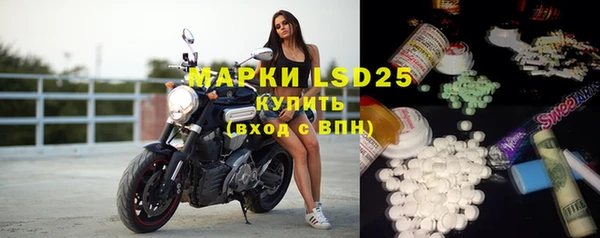 ГАЛЛЮЦИНОГЕННЫЕ ГРИБЫ Алзамай