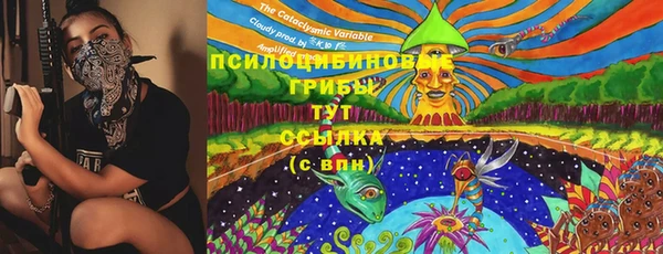 марки nbome Алексеевка