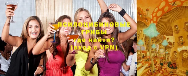 ГАЛЛЮЦИНОГЕННЫЕ ГРИБЫ Алзамай
