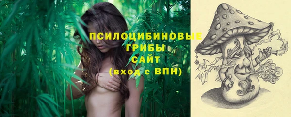 молекула духа Алексин