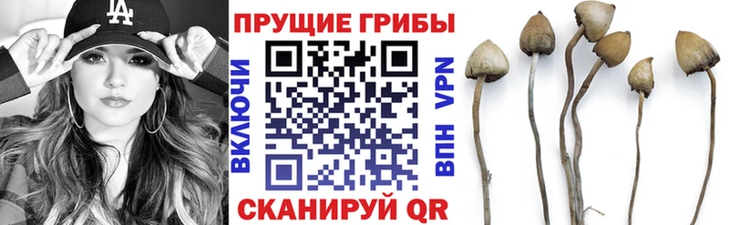 Галлюциногенные грибы прущие грибы  Дюртюли 