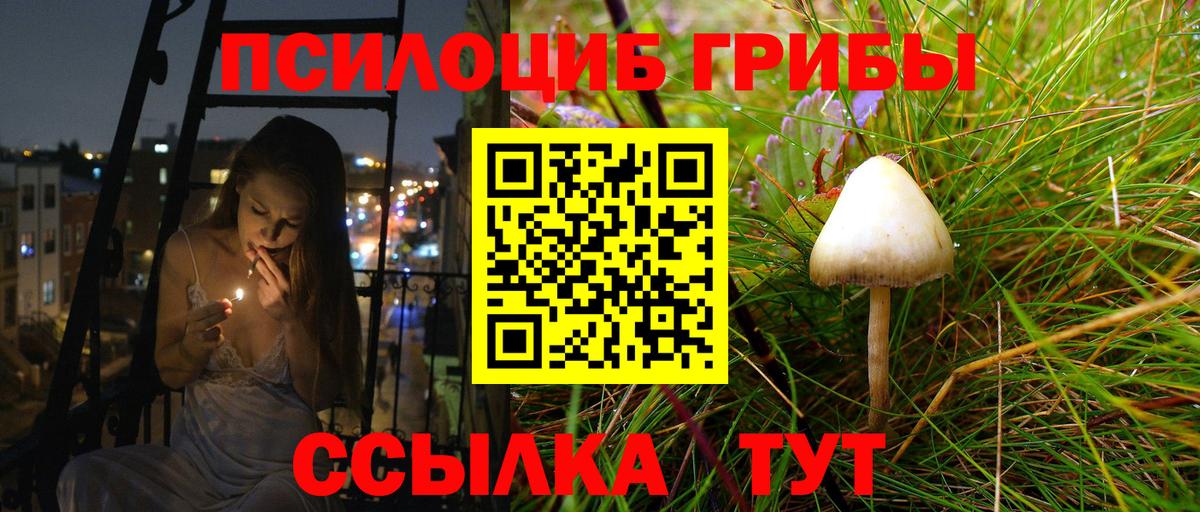 купить наркотики сайты  Вход с VPN  Дюртюли  Псилоцибиновые грибы мицелий 