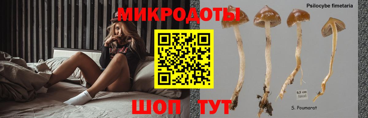Псилоцибиновые грибы прущие грибы Дюртюли